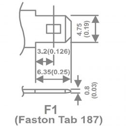 Terminal F1 T1