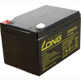 12V 12Ah WP12-12A