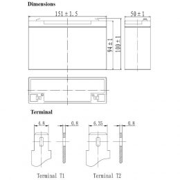 Acumulator 6V 10Ah FP6100 F1 Terminals