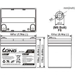 12V 36Ah GEL LG36-12N LONG Dimensions