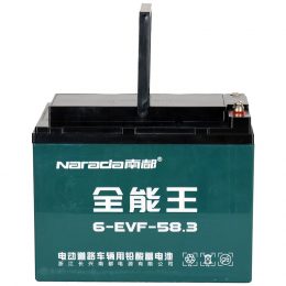 12V 58.3 6Ah-EVF-58.3 Narada (2)